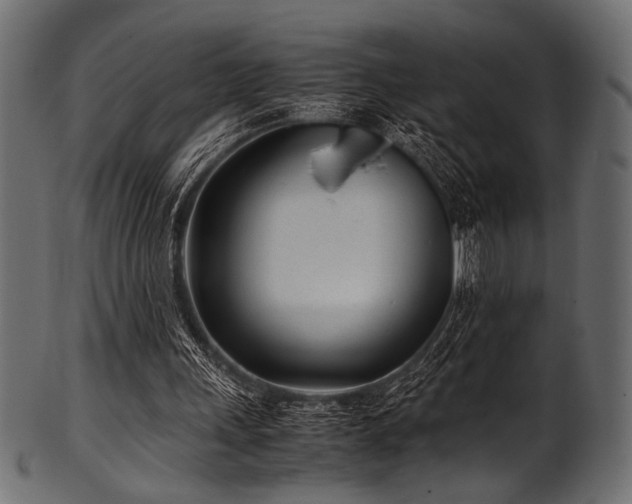 X0000101990243200807181154