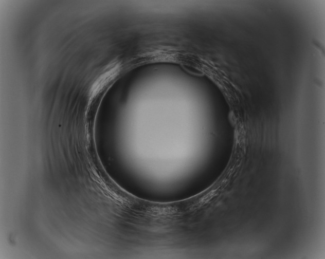 X0000101990245200807181154