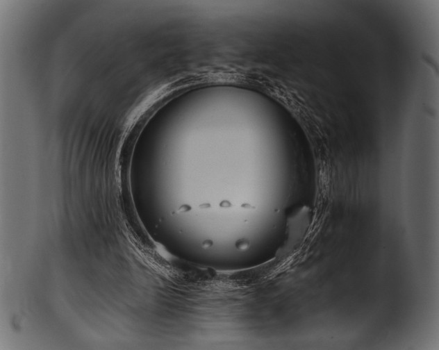 X0000101990246200807181154