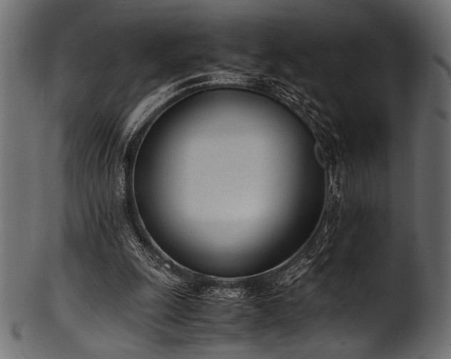 X0000101990247200807181154