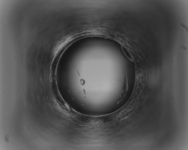 X0000101990248200807181154