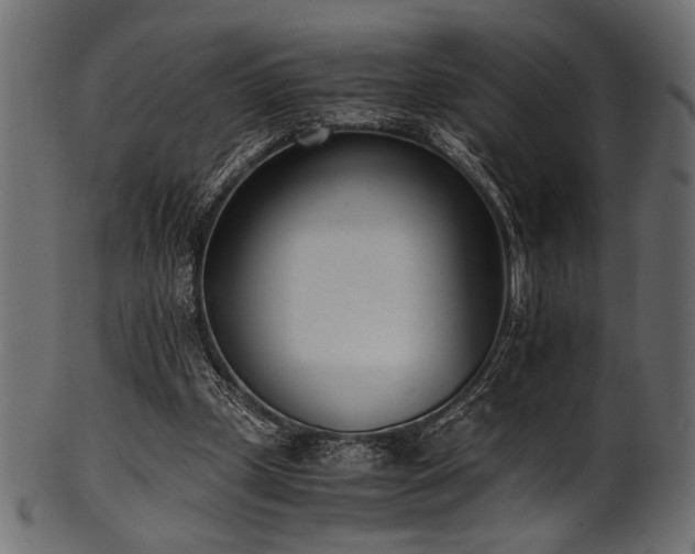 X0000101990249200807181154