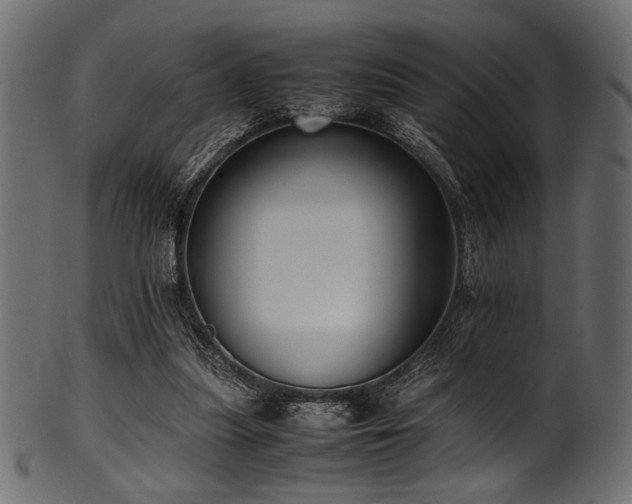 X0000101990251200807181154