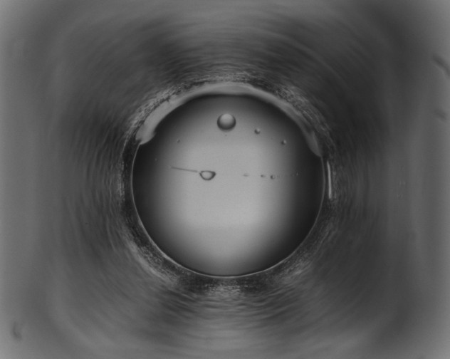 X0000101990252200807181154