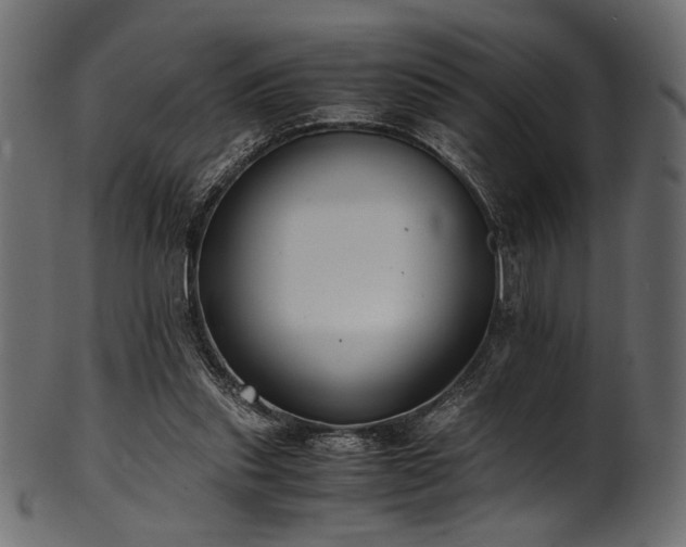 X0000101990253200807181154