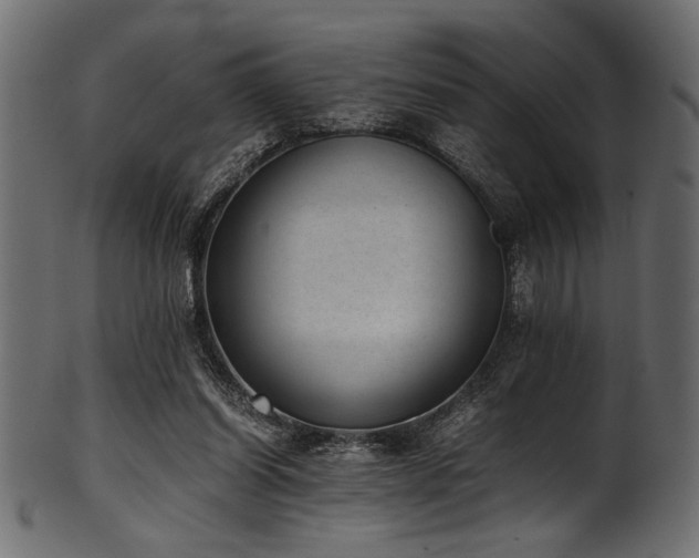 X0000101990254200807181154