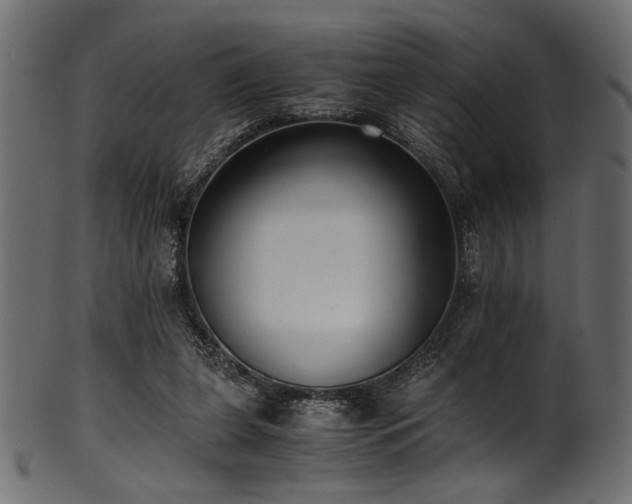 X0000101990255200807181154