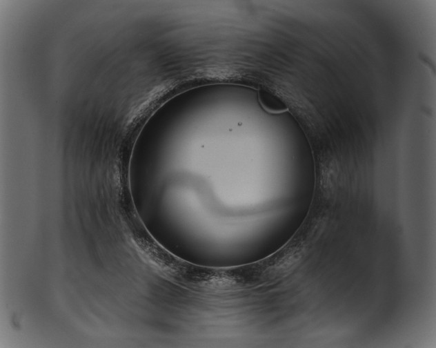 X0000101990256200807181154