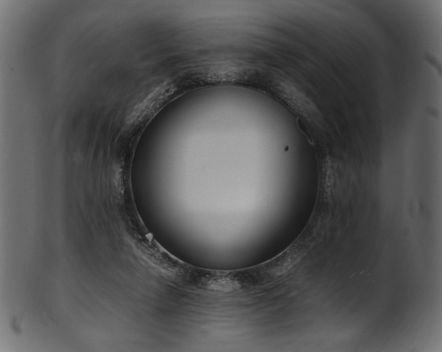 X0000101990258200807181154