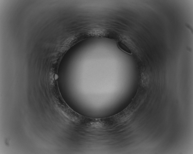 X0000101990259200807181154