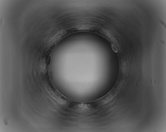 X0000101990261200807181154