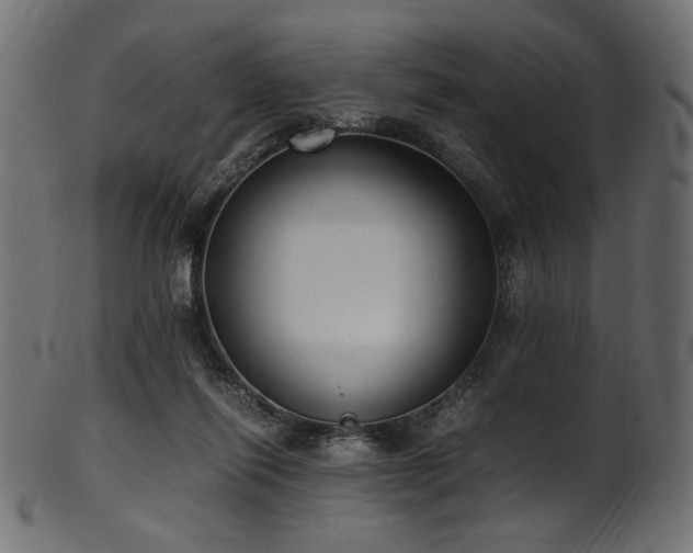 X0000101990262200807181154