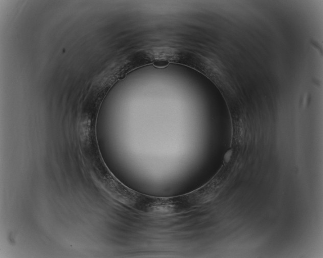 X0000101990263200807181154