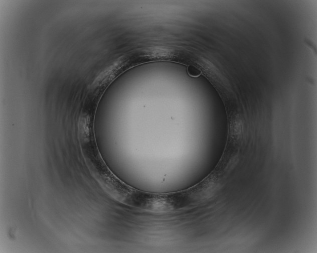 X0000101990264200807181154