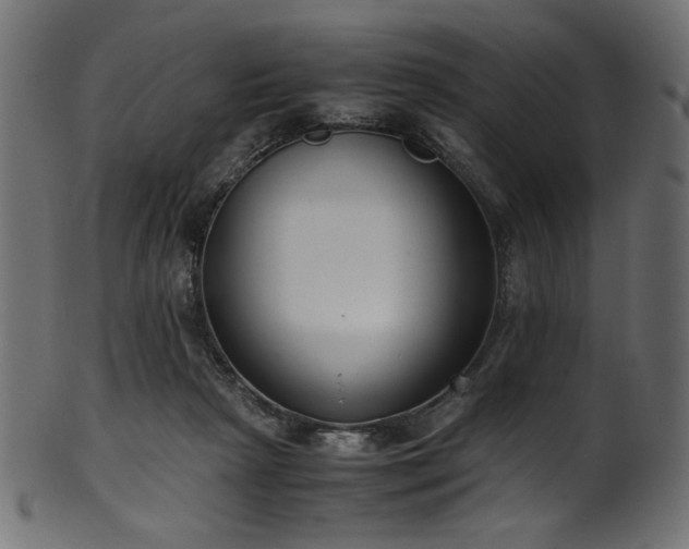 X0000101990265200807181154