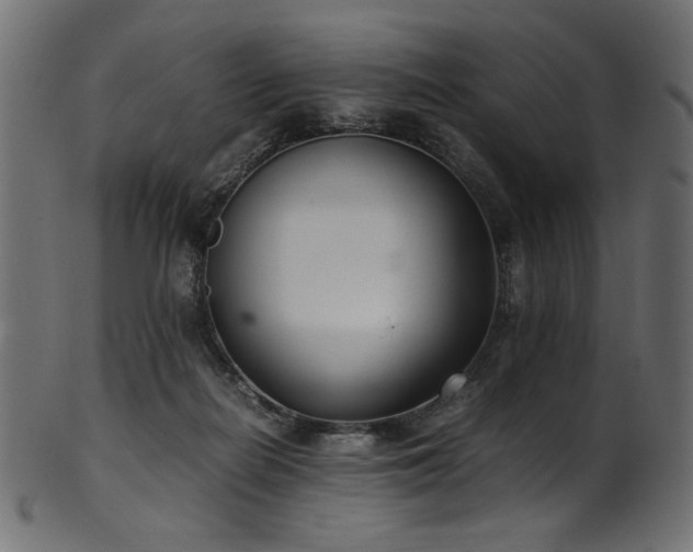 X0000101990266200807181154