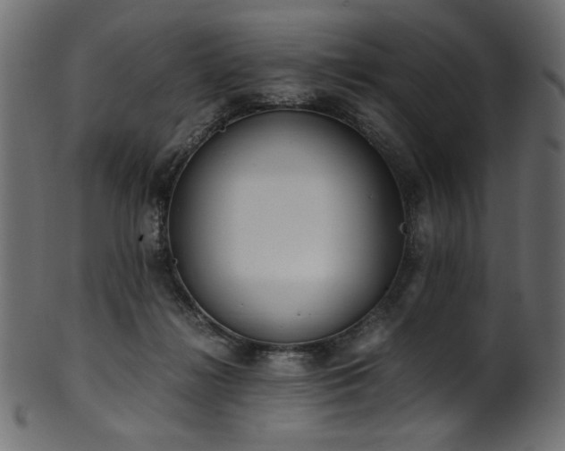 X0000101990268200807181154