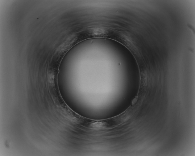 X0000101990269200807181154
