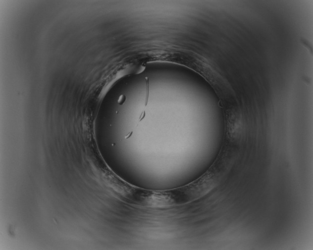 X0000101990270200807181154