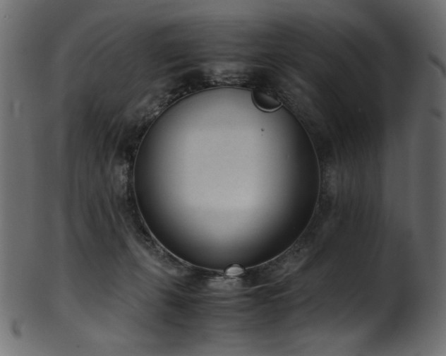 X0000101990271200807181154