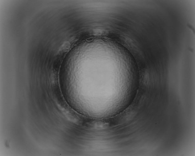X0000101990272200807181154