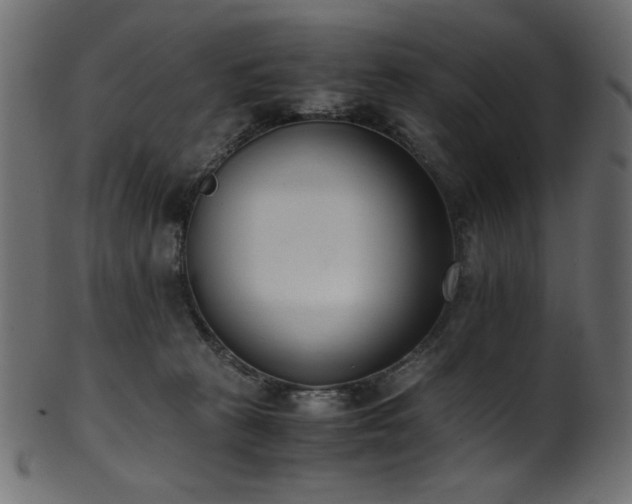 X0000101990273200807181154