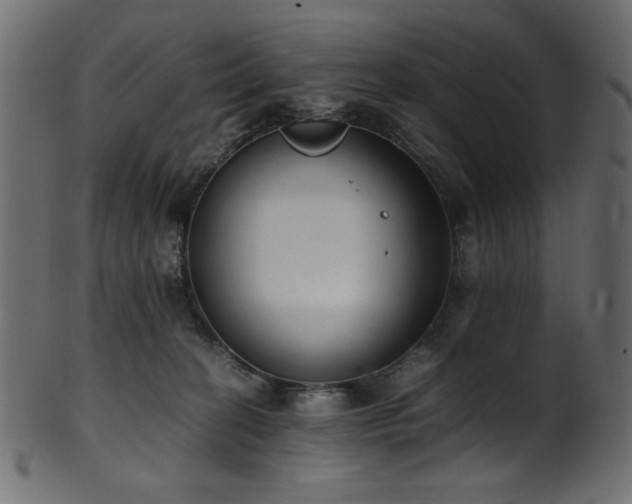 X0000101990274200807181155
