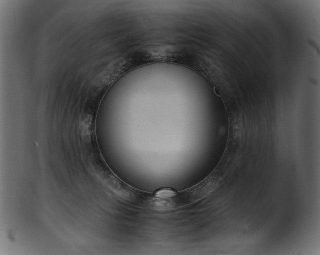 X0000101990275200807181155