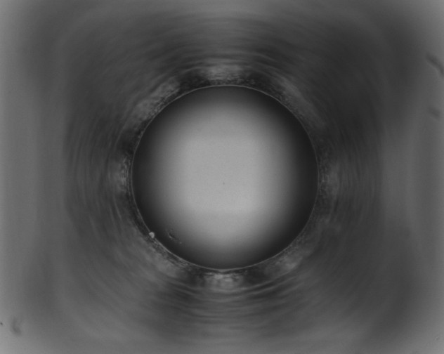 X0000101990277200807181155