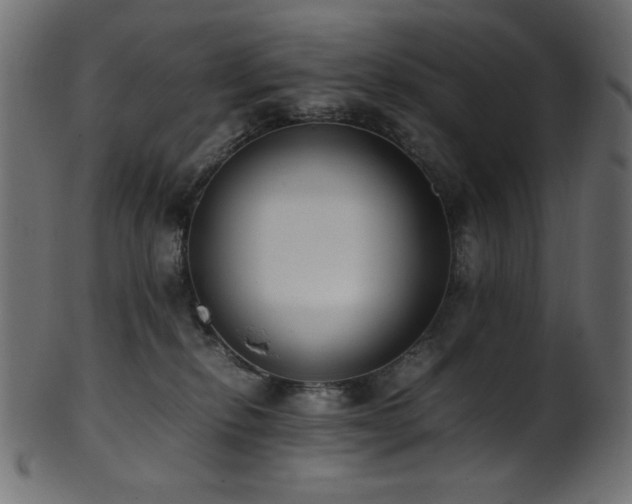 X0000101990278200807181155