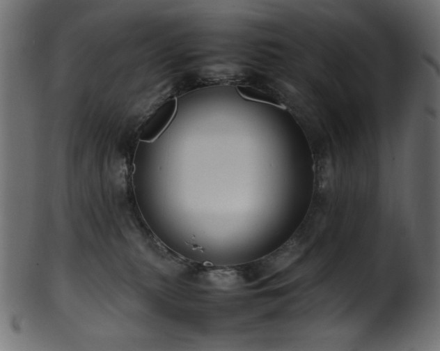 X0000101990279200807181155