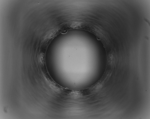 X0000101990280200807181155