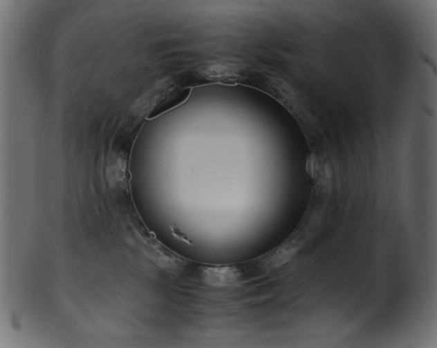 X0000101990281200807181155
