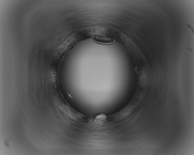 X0000101990282200807181155