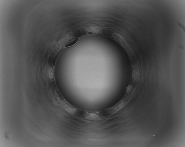 X0000101990285200807181155