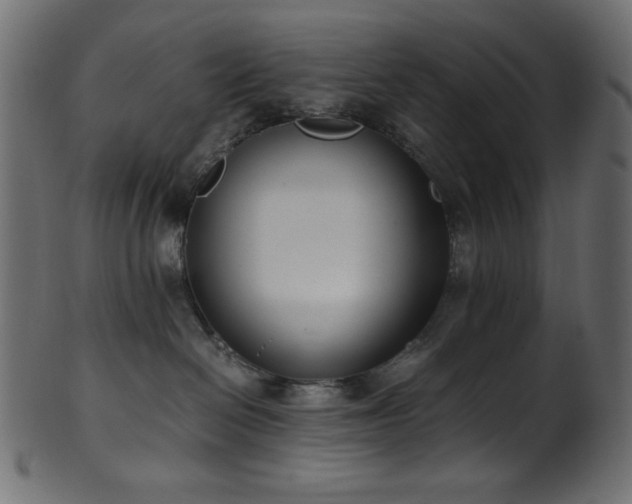 X0000101990286200807181155