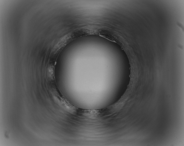 X0000101990288200807181155
