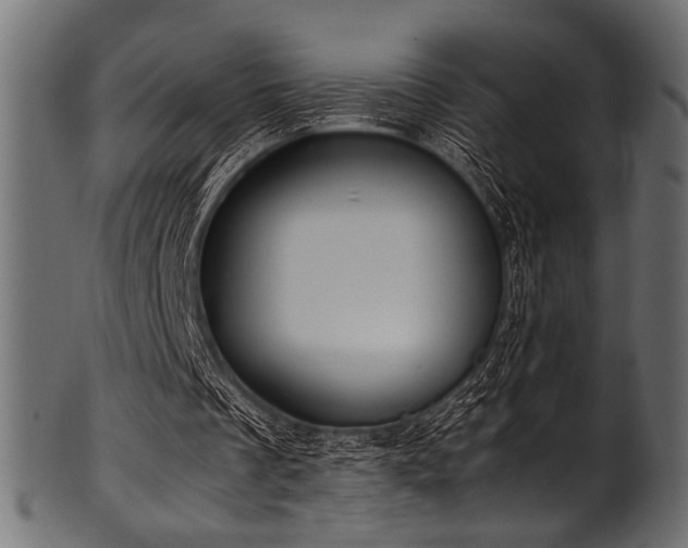X0000101990289200807181154