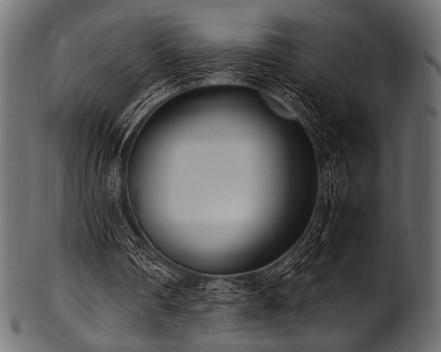 X0000101990290200807181154