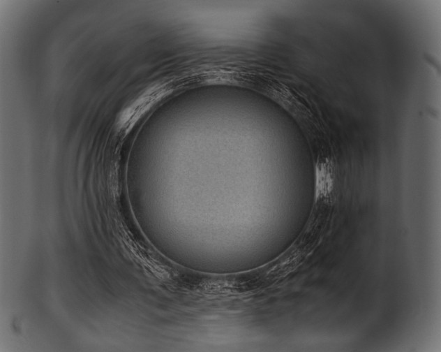 X0000101990291200807181154