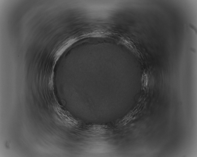 X0000101990292200807181154