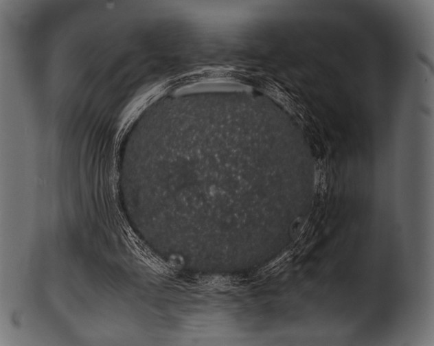 X0000101990293200807181154
