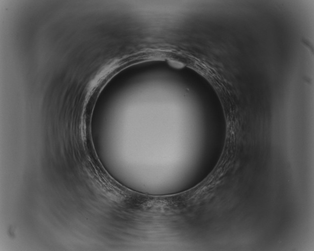X0000101990294200807181154
