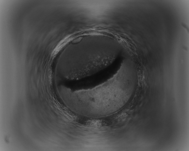 X0000101990295200807181154