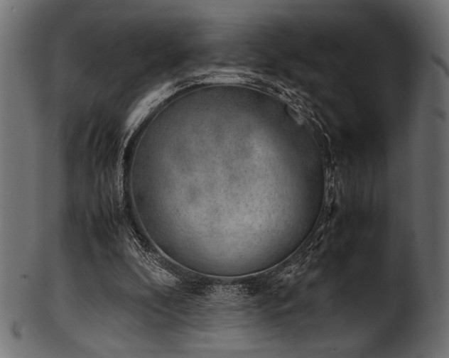 X0000101990296200807181154