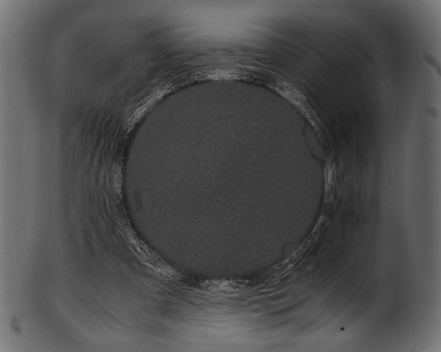 X0000101990297200807181154