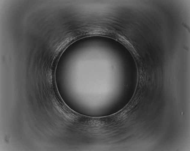X0000101990298200807181154