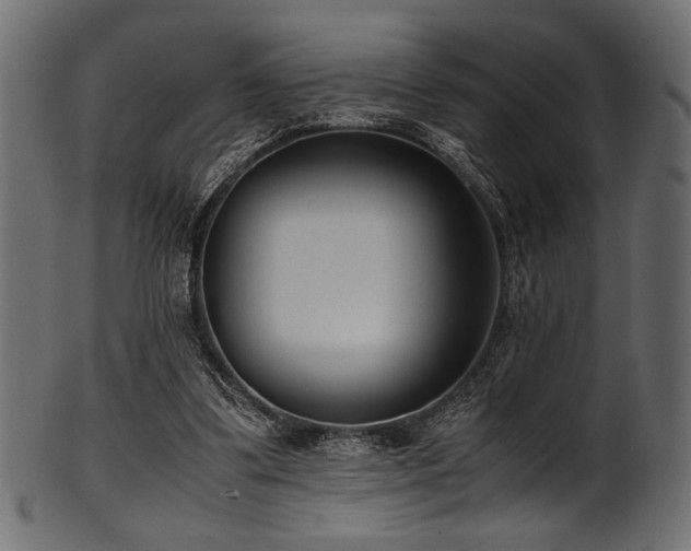 X0000101990299200807181154
