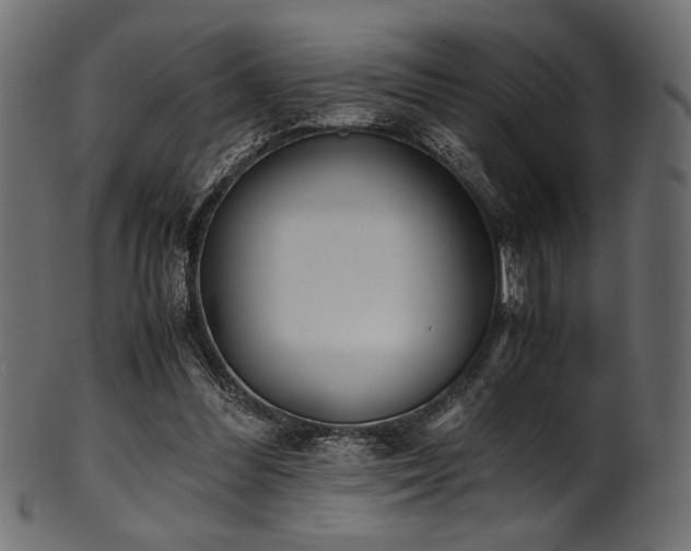 X0000101990300200807181154