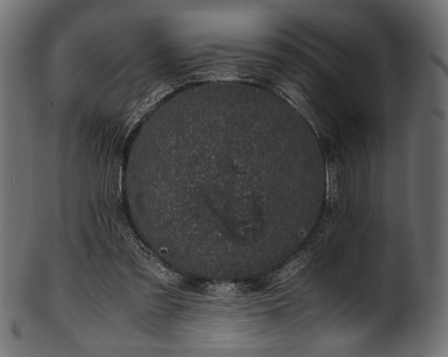 X0000101990301200807181154